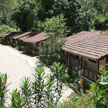 Hotel Eco Family Park Beskonak Exterior foto