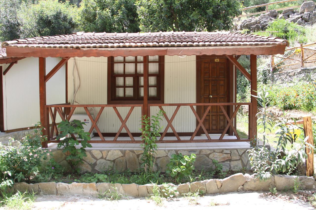 Hotel Eco Family Park Beskonak Zimmer foto